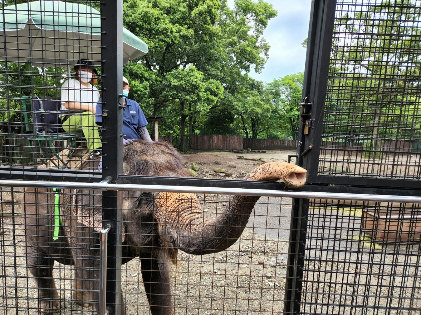 富士サファリパークと比べると小 港303 さまの口コミ アソビュー