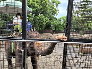 那須サファリパークに投稿された画像（2022/7/30）