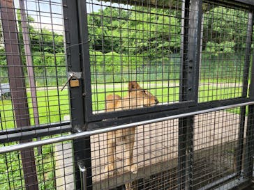 那須サファリパークに投稿された画像（2022/7/30）