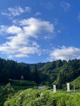 大地の芸術祭 実行委員会に投稿された画像（2022/7/30）