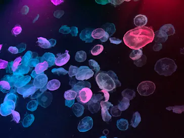 すみだ水族館に投稿された画像（2022/7/30）