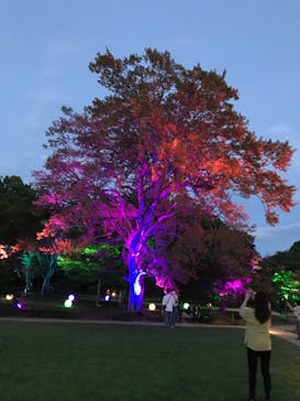 岡山後楽園に投稿された画像（2022/7/30）