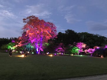 岡山後楽園に投稿された画像（2022/7/30）