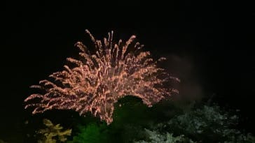 岡山後楽園に投稿された画像（2022/7/30）