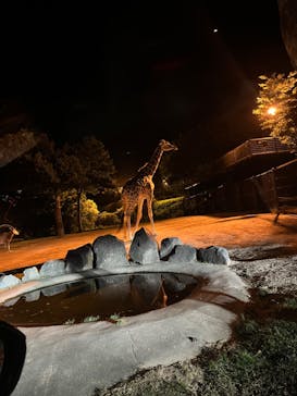 姫路セントラルパークに投稿された画像（2022/7/30）