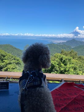 伊豆パノラマパークに投稿された画像（2022/7/30）