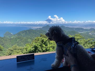 伊豆パノラマパークに投稿された画像（2022/7/30）