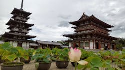 公益社団法人　奈良市観光協会に投稿された画像（2022/7/30）