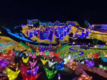 伊豆ぐらんぱる公園に投稿された画像（2022/7/30）