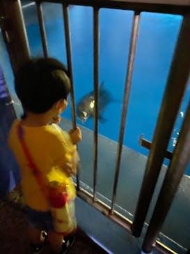 南知多ビーチランド＆南知多おもちゃ王国に投稿された画像（2022/7/30）