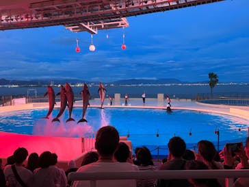 マリンワールド海の中道に投稿された画像（2022/7/30）