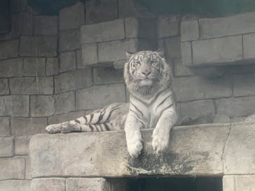 東武動物公園に投稿された画像（2022/7/30）