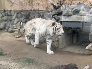 東武動物公園に投稿された画像（2022/7/30）