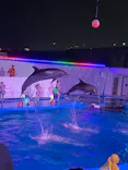 仙台うみの杜水族館に投稿された画像（2022/7/31）