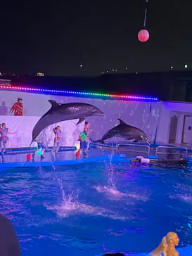 仙台うみの杜水族館に投稿された画像（2022/7/30）
