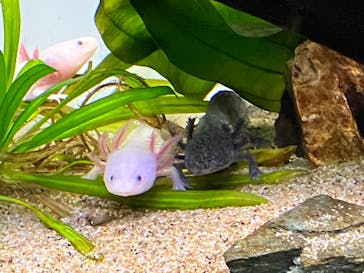 サンシャイン水族館に投稿された画像（2022/7/30）