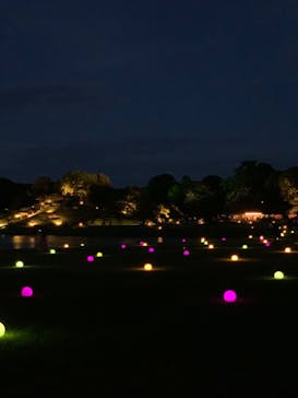 岡山後楽園に投稿された画像（2022/7/30）