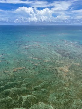 ブルースカイに投稿された画像（2022/7/30）