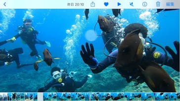 武藤潜水に投稿された画像（2022/7/30）