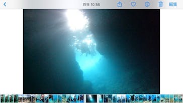 武藤潜水に投稿された画像（2022/7/30）