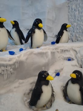 グリーンランドに投稿された画像（2022/7/30）