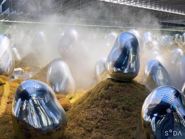 チームラボプラネッツ TOKYO DMMに投稿された画像（2022/7/31）