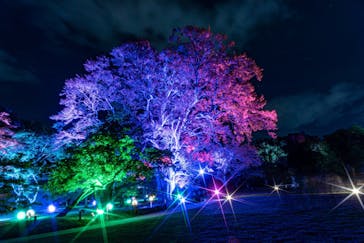 岡山後楽園に投稿された画像（2022/7/31）