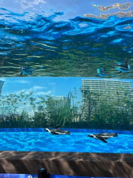 サンシャイン水族館に投稿された画像（2022/7/31）
