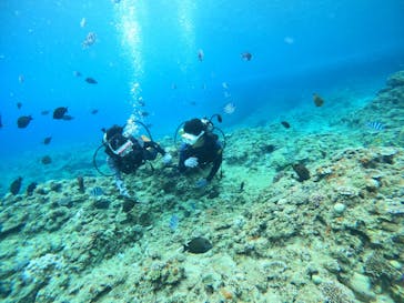 沖縄マリンサービス碧に投稿された画像（2022/7/31）