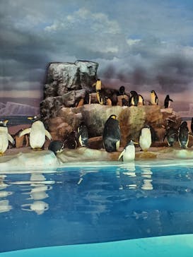 名古屋港水族館に投稿された画像（2022/7/31）
