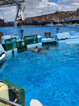 名古屋港水族館に投稿された画像（2022/7/31）