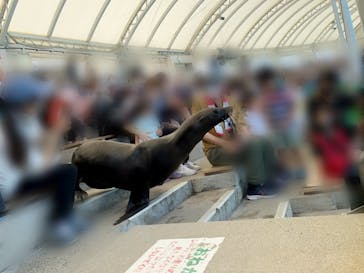 南知多ビーチランド＆南知多おもちゃ王国に投稿された画像（2022/7/31）