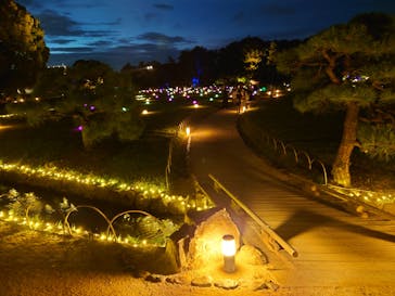 岡山後楽園に投稿された画像（2022/7/31）