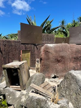 伊豆シャボテン動物公園に投稿された画像（2022/7/31）