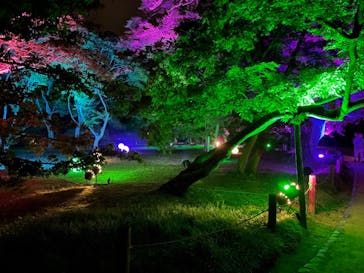 岡山後楽園に投稿された画像（2022/7/31）