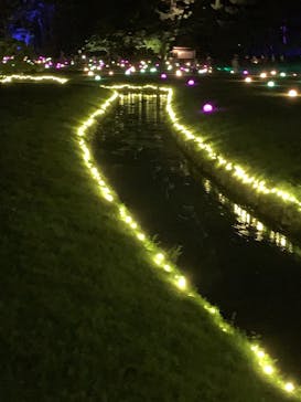 岡山後楽園に投稿された画像（2022/7/31）