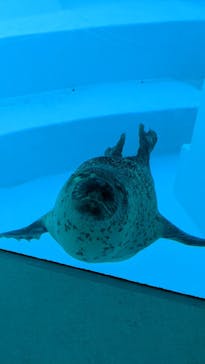 マリンワールド海の中道に投稿された画像（2022/7/31）