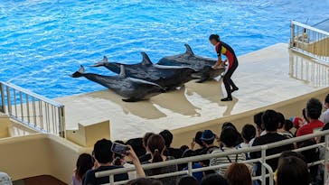 マリンワールド海の中道に投稿された画像（2022/7/31）