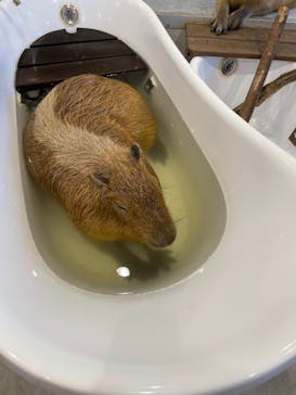 アニタッチみなとみらいに投稿された画像（2022/7/31）