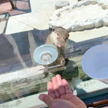 横浜・八景島シーパラダイスに投稿された画像（2022/7/31）