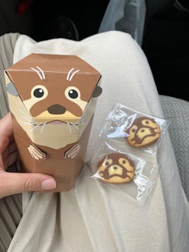 大分マリーンパレス水族館 「うみたまご」に投稿された画像（2022/7/31）