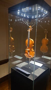 河口湖 音楽と森の美術館に投稿された画像（2022/7/31）