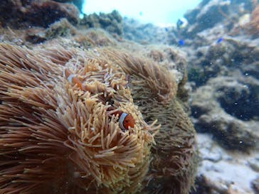 marine assist DEMI（マリンアシストデミ）に投稿された画像（2022/7/31）