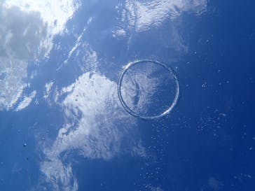 marine assist DEMI（マリンアシストデミ）に投稿された画像（2022/7/31）