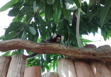 神戸どうぶつ王国に投稿された画像（2022/7/31）