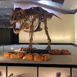 わけあって絶滅しました。展に投稿された画像（2022/7/31）