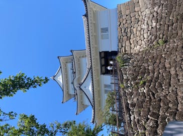 小田原城に投稿された画像（2022/7/31）