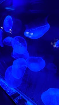 株式会社Gに投稿された画像（2022/7/31）