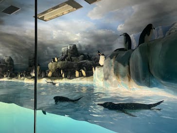 名古屋港水族館に投稿された画像（2022/7/31）