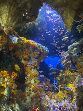 サンシャイン水族館に投稿された画像（2022/7/31）